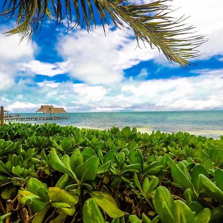 Punta Me Beach Suites Cancún Kültér fotó