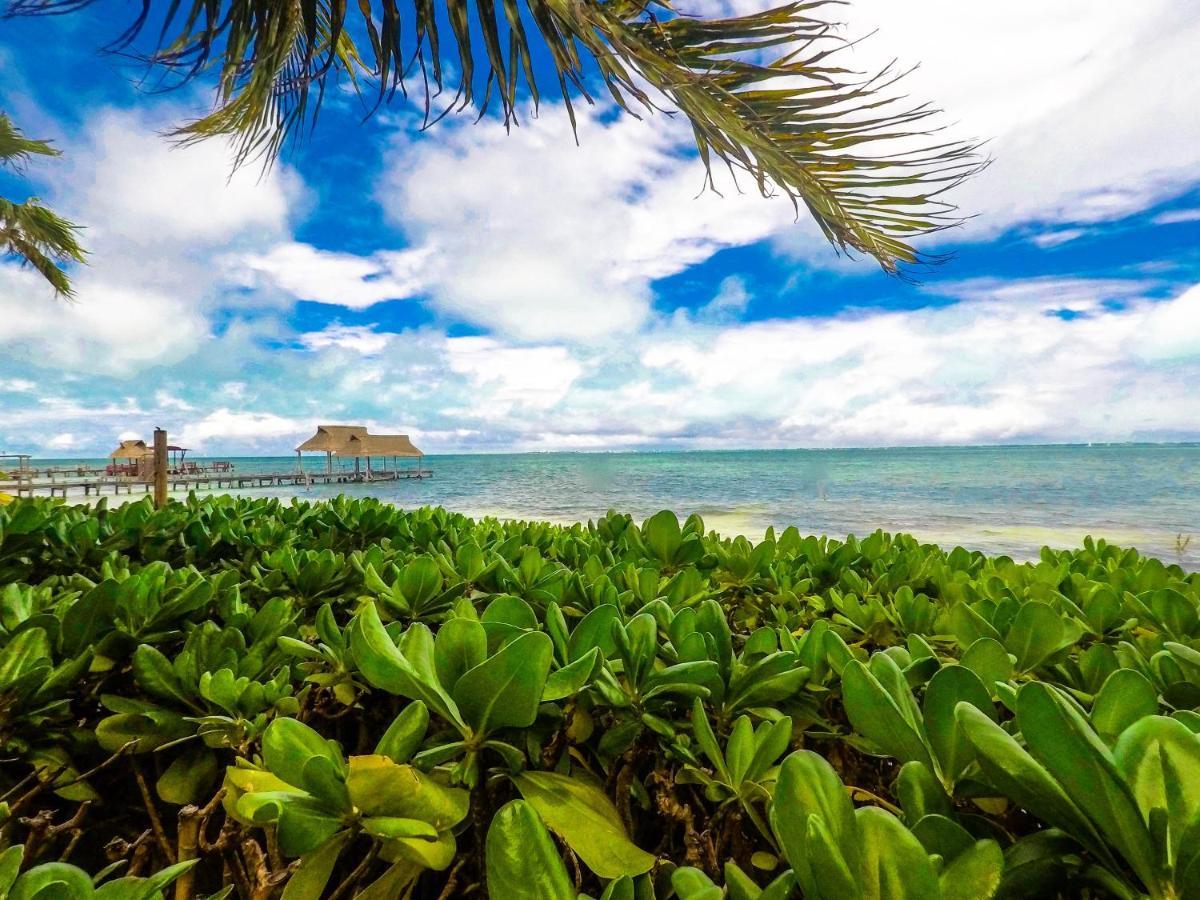 Punta Me Beach Suites Cancún Kültér fotó